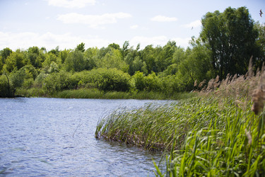 Similar image 21465484