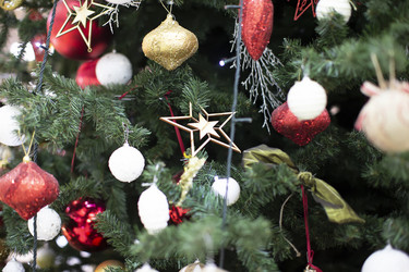 Similar image 21465578