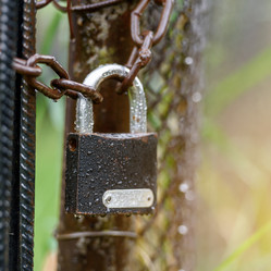 Similar image 21465082