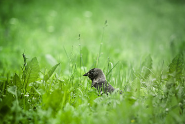 Similar image 21465100