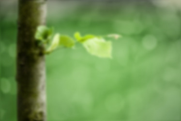 Similar image 21465596