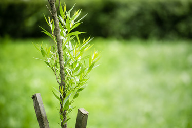 Similar image 21465598