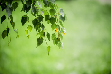 Similar image 21465600