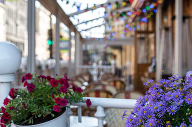 Similar image 21465605