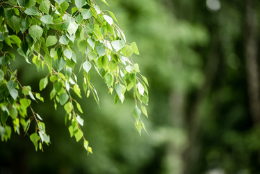 Similar image 21465607