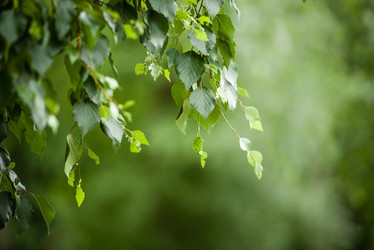 Similar image 21465609