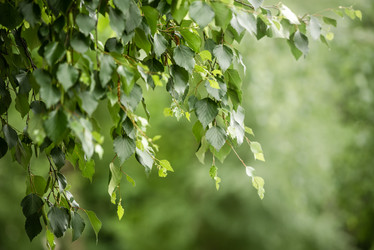 Similar image 21465616