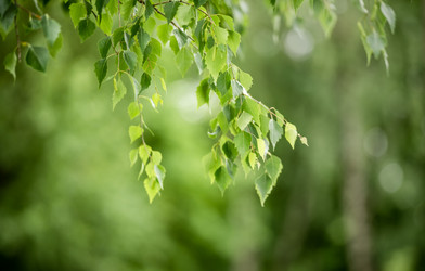 Similar image 21465629