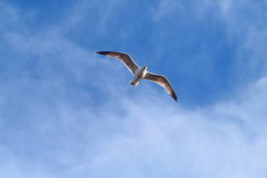 Similar image 21465630