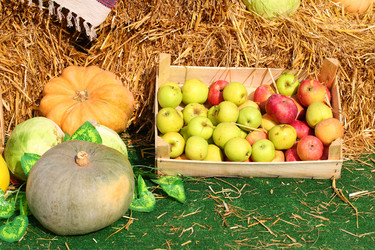 Similar image 21476690