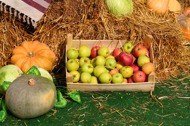 Similar image 21476691