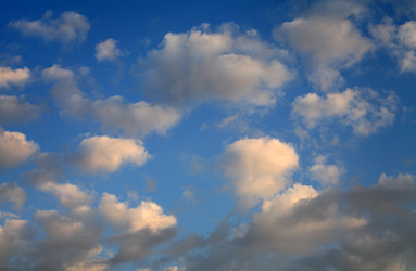 Similar image 21436892