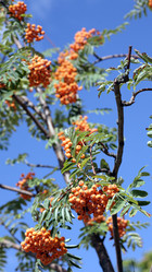 Similar image 21443205