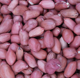 Similar image 21443573