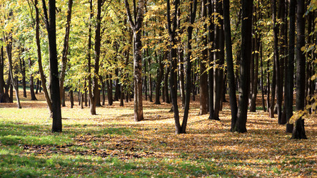 Similar image 21436900