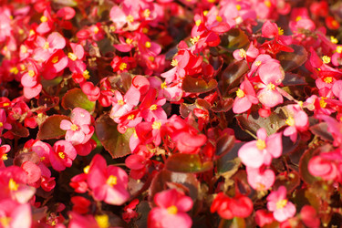 Similar image 21436902