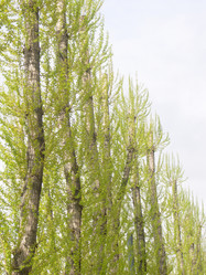 Similar image 21444735