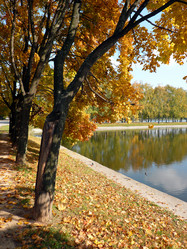 Similar image 21444762