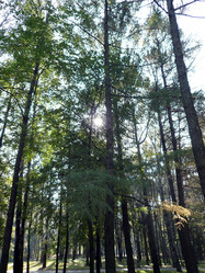 Similar image 21444767