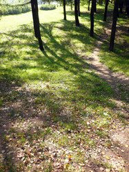 Similar image 21444770