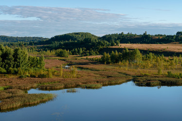 Similar image 21467052