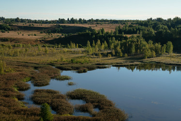 Similar image 21467053