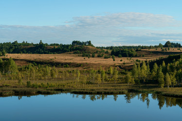 Similar image 21467054