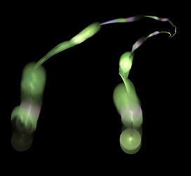 Similar image 21445865