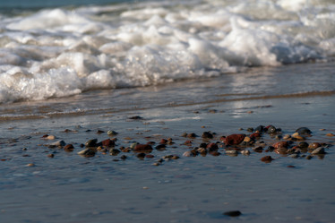 Similar image 21467069