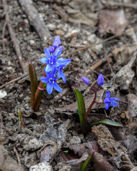 Similar image 21470076