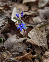 Similar image 21470078