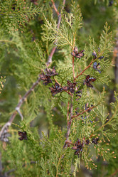 Similar image 21470085