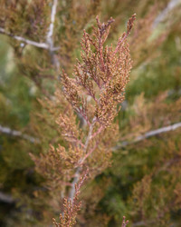 Similar image 21470087