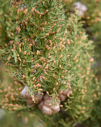 Similar image 21470092