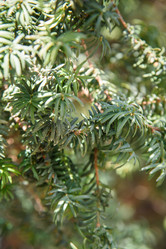 Similar image 21470093