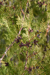 Similar image 21470099