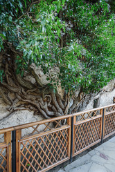 Similar image 21470102