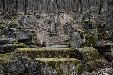 Similar image 21470103