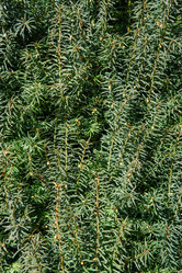 Similar image 21470104