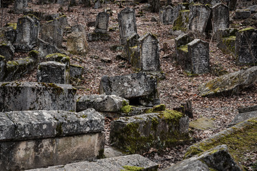 Similar image 21470115