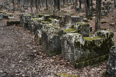 Similar image 21470118