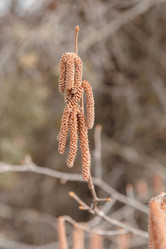 Similar image 21470138