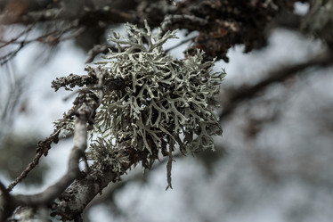 Similar image 21470149