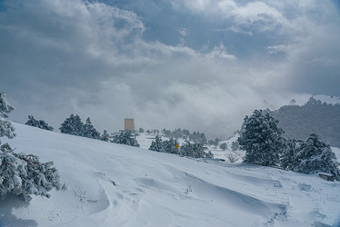 Similar image 21470153