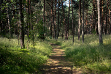 Similar image 21467086