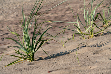 Similar image 21466972