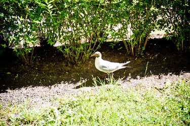 Similar image 21477846