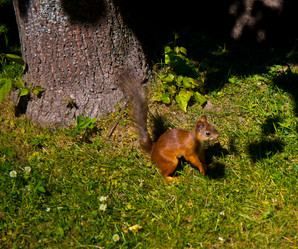 Similar image 21477851