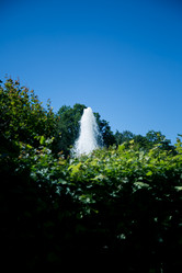 Similar image 21477853