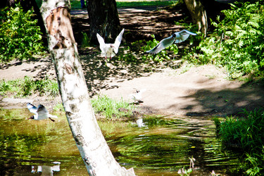 Similar image 21477855